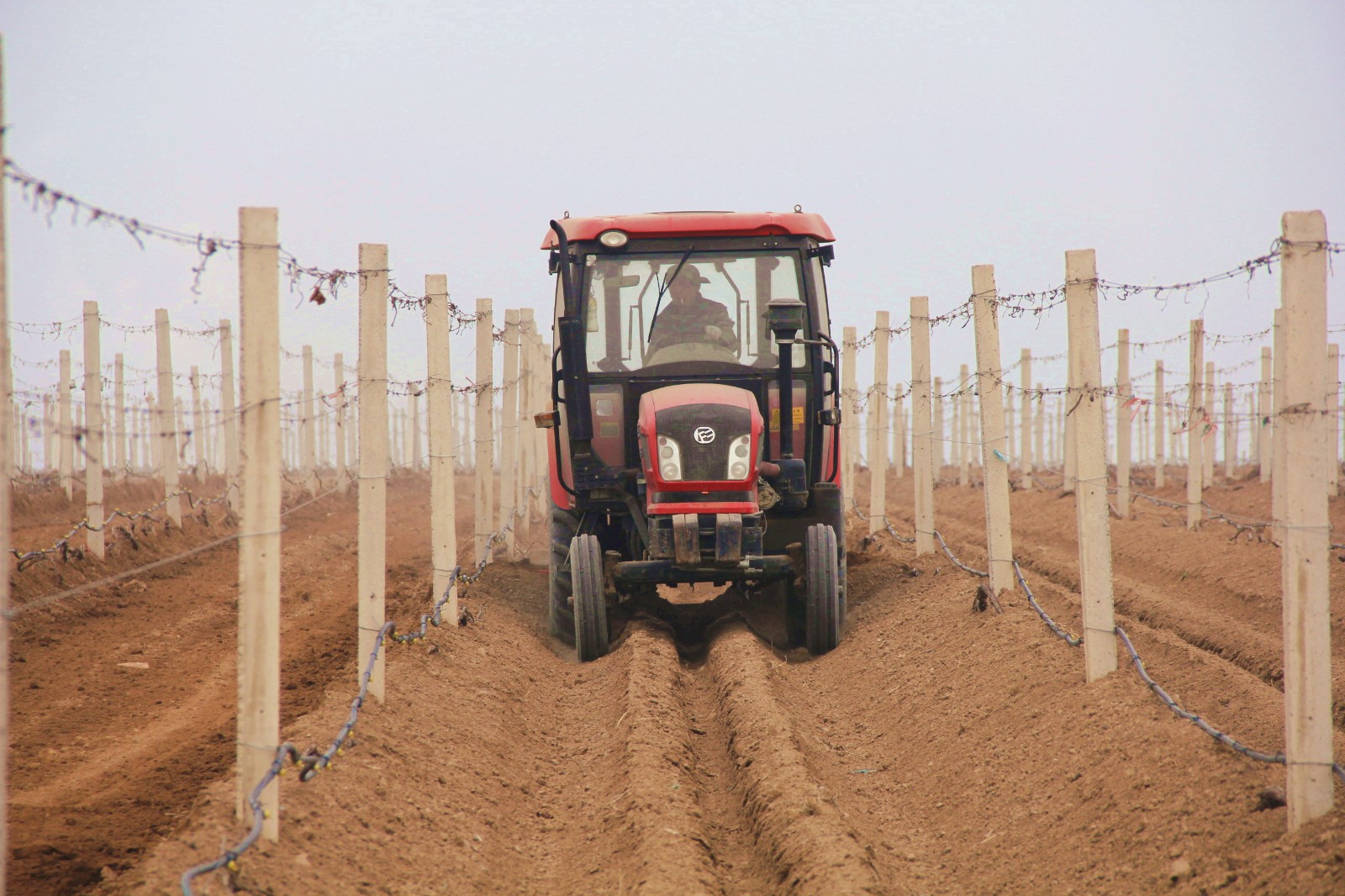 15518396504907.jpg 1_副本.jpg