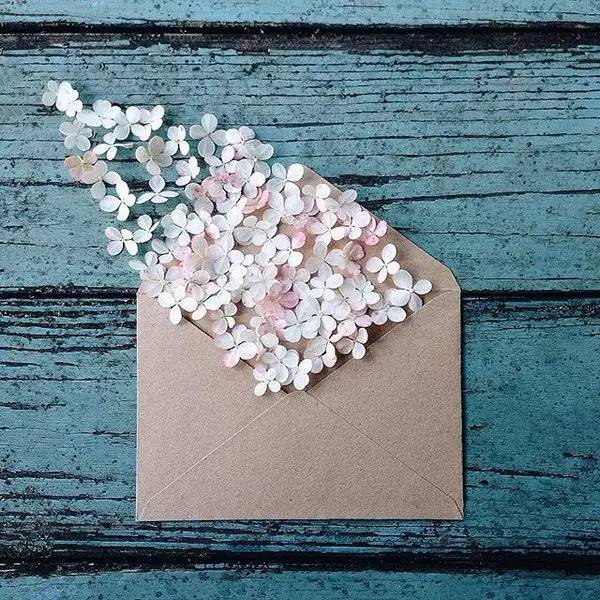 您有封信，請查收