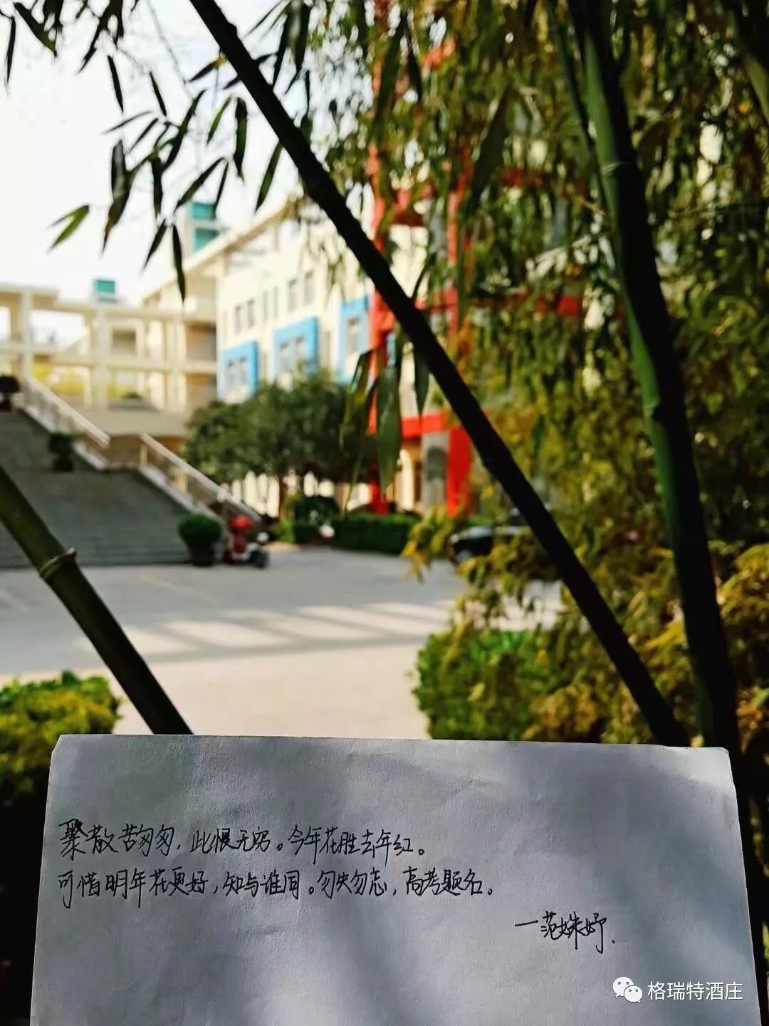 15601527596518.jpg 640.webp (5).jpg