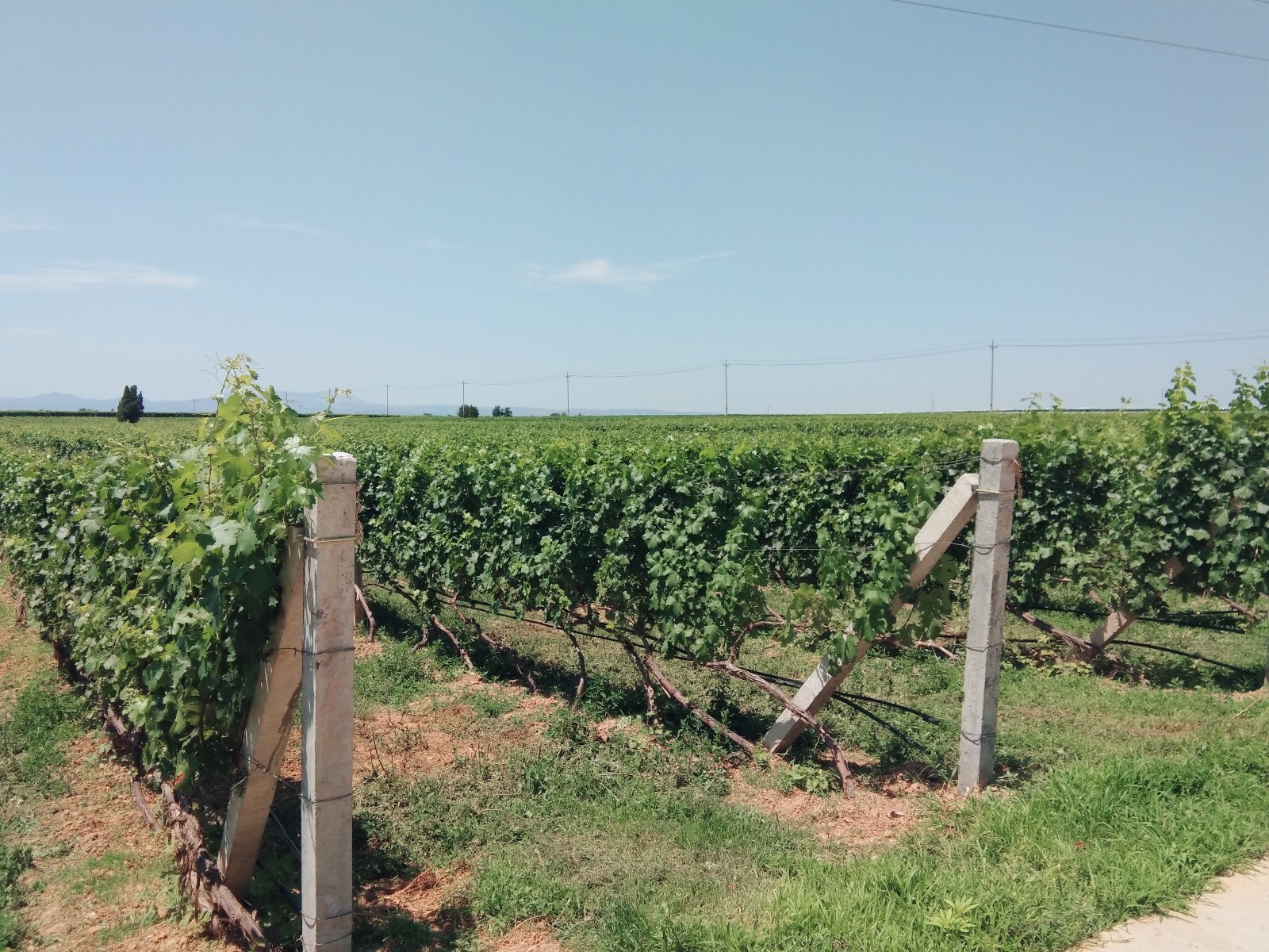 15710211276770.jpg 微信圖片_20190705143620.jpg