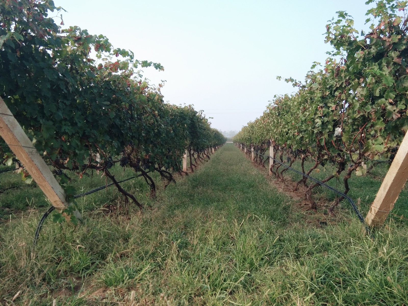 15710397999045.jpg 微信圖片_20191008082341.jpg