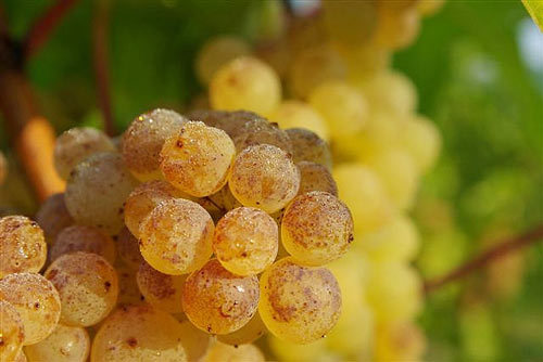 15712834018687.jpg t014033c469757f4324.jpg