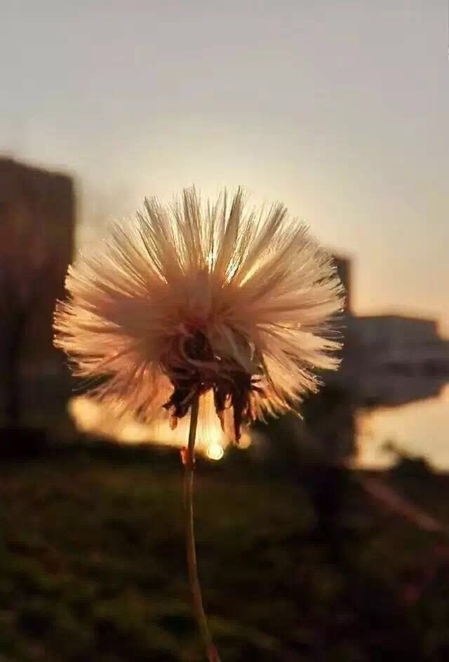 15712837104802.jpg 微信圖片_20190717152828.jpg