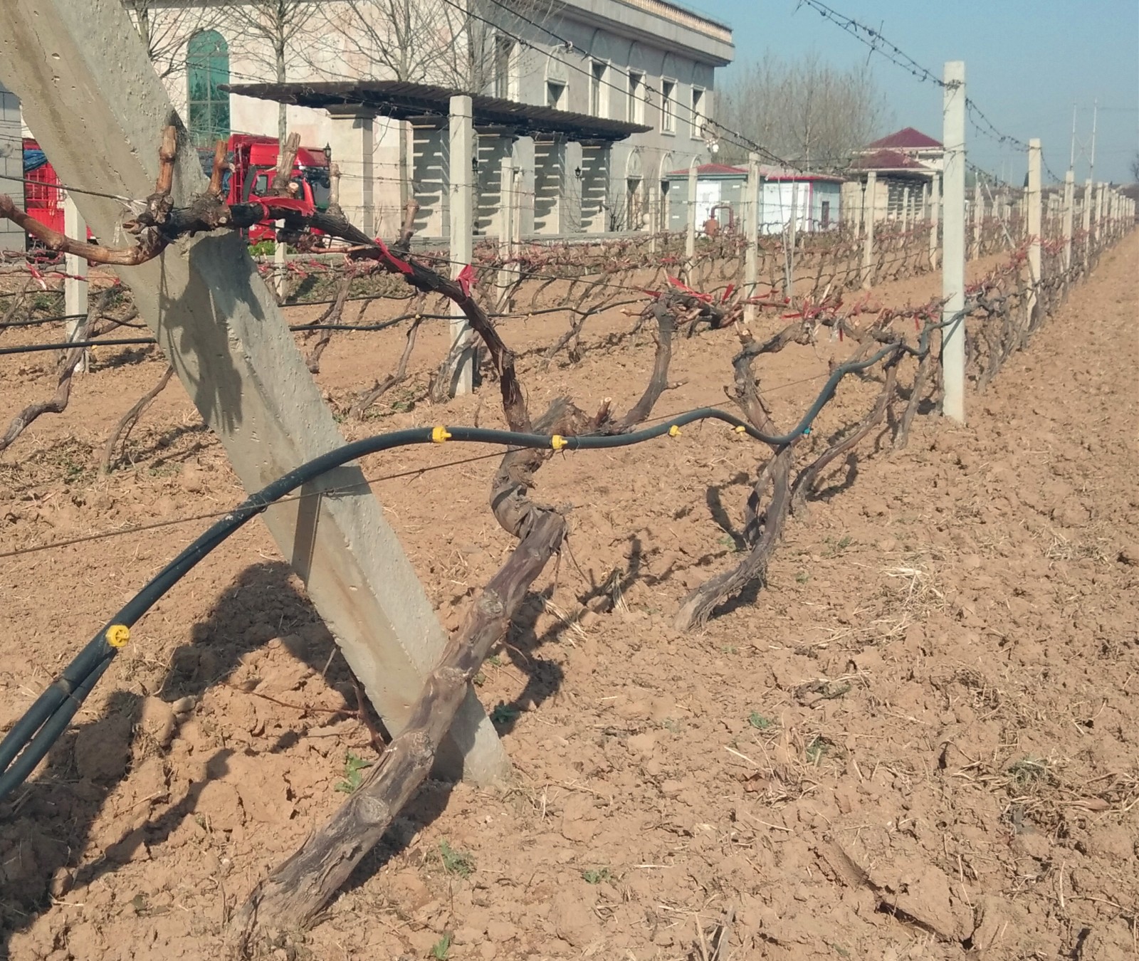 15857230311812.jpg 微信圖片_20200318093758.jpg