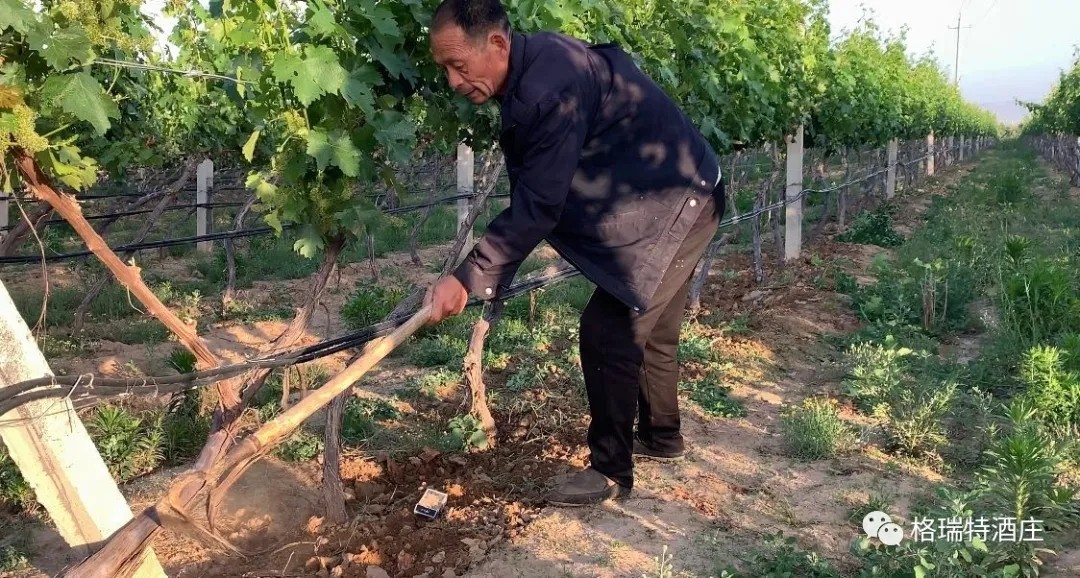 15903104291008.jpg 640.webp (4).jpg