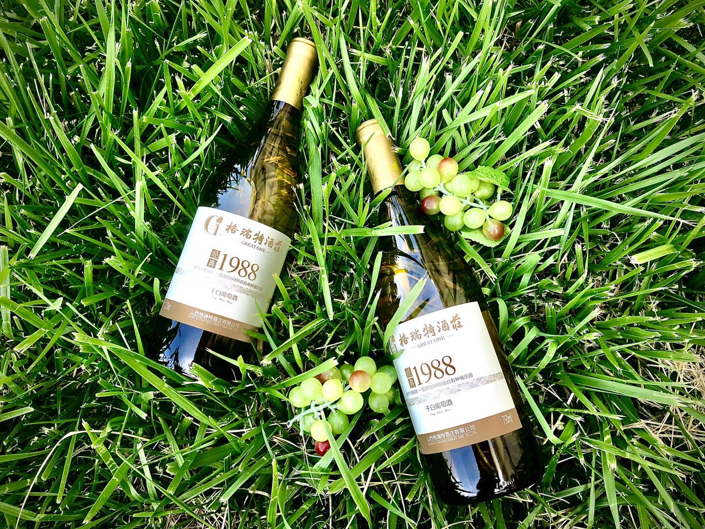 15991255993333.jpg 1ae72e2c0dc83fba5e5094ad7a6d03f.jpg