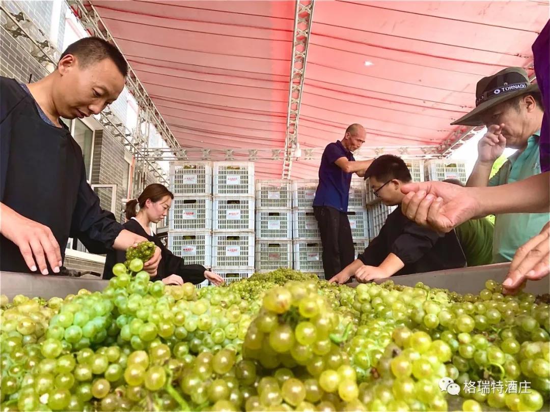 16006592539695.jpg 8.jpg