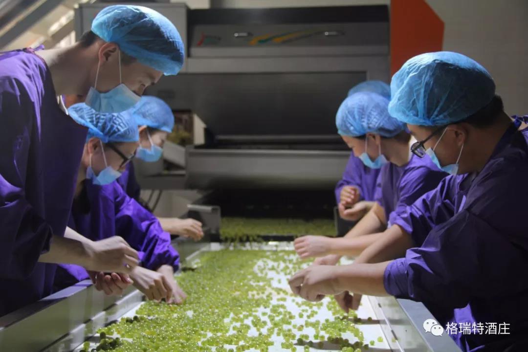 16006592662763.jpg 9.jpg