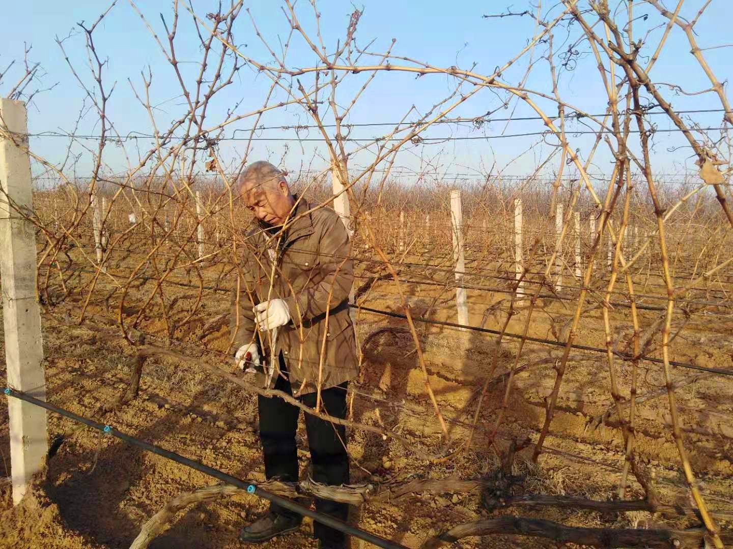 16176765642076.jpg 微信圖片_20210223082146.jpg