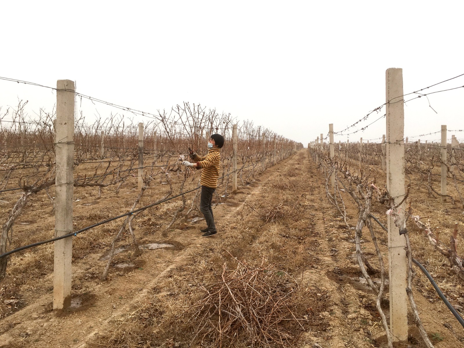 16176791407108.jpg 微信圖片_20210303110509.jpg