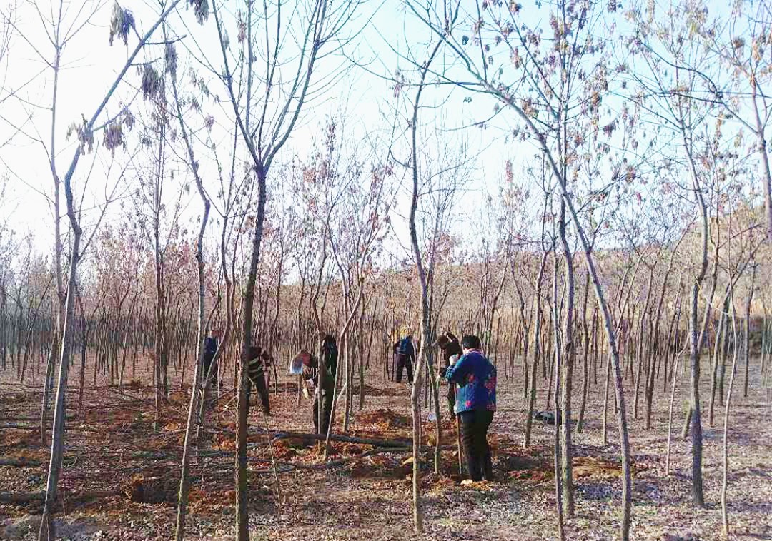 16176791962111.jpg 微信圖片_20210303085845.jpg