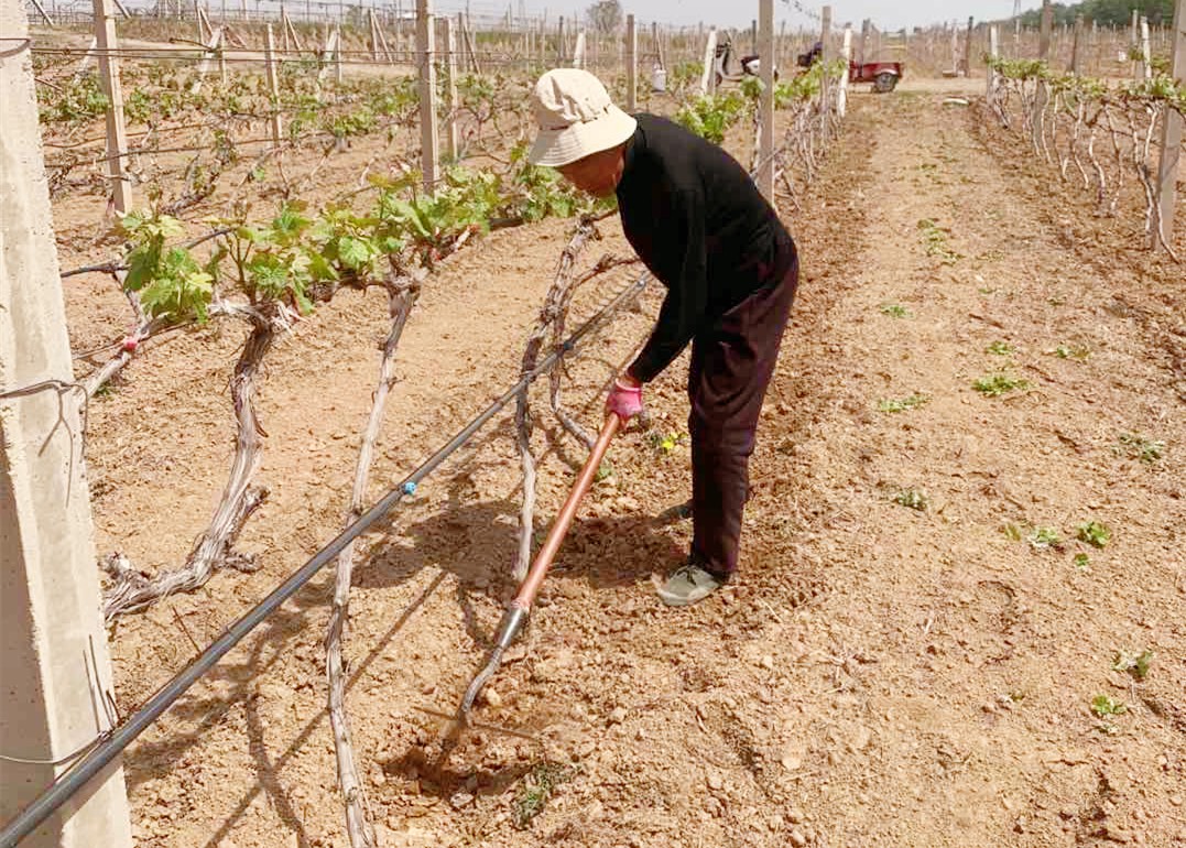 16193119634252.jpg 微信圖片_20210418140907.jpg