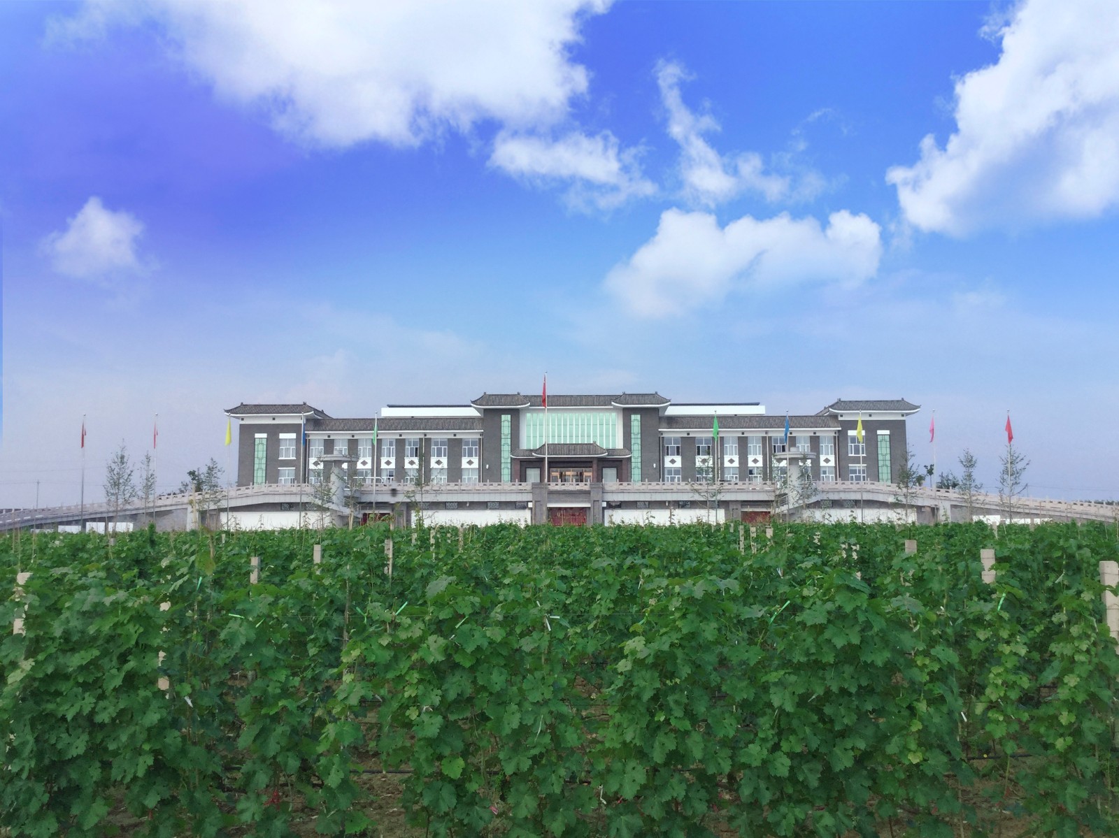 16193126512418.jpg 1.jpg