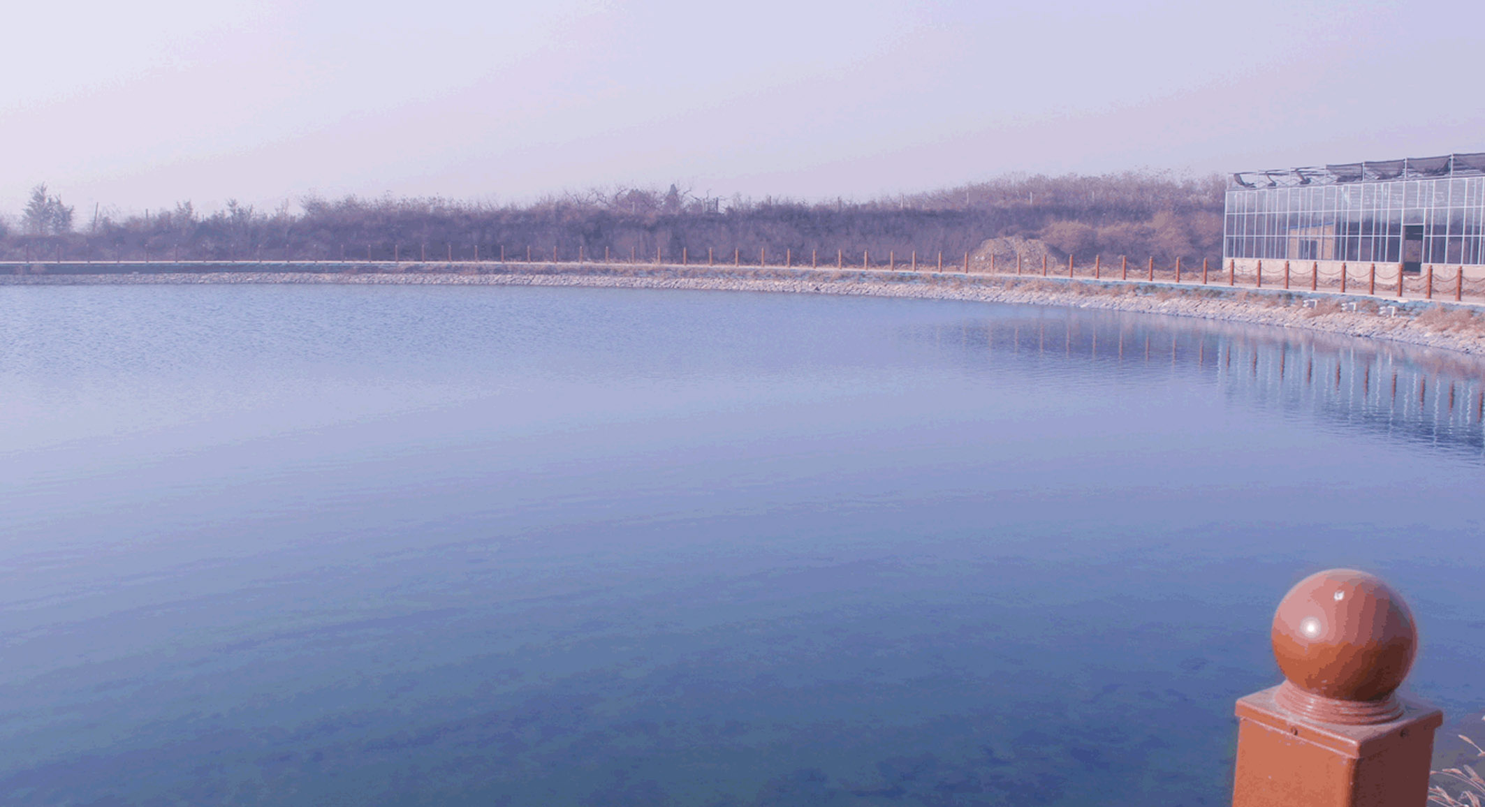 16225140138741.jpg 池塘.JPG