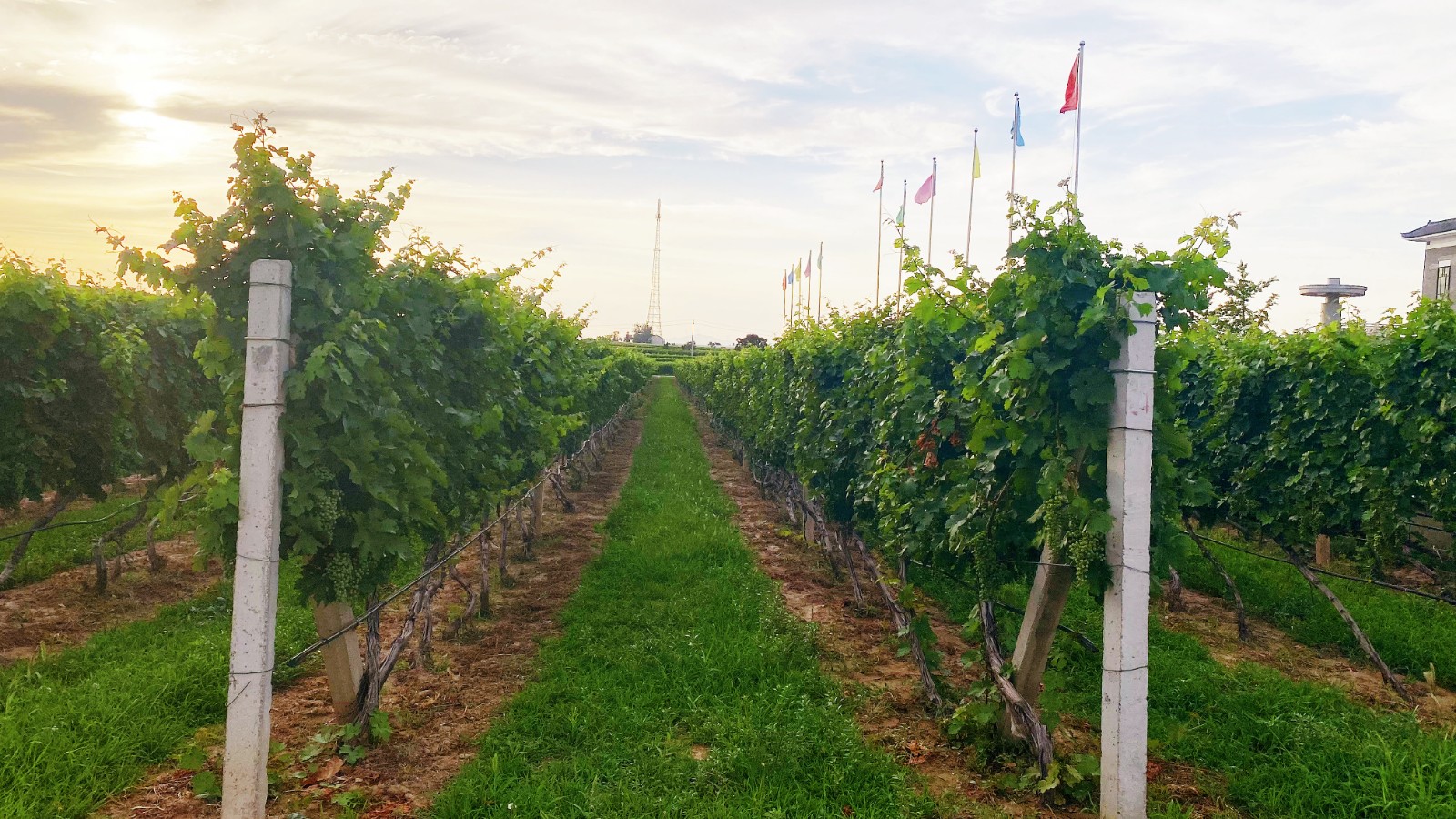 16258822494083.jpg 微信圖片_20210705090041.jpg