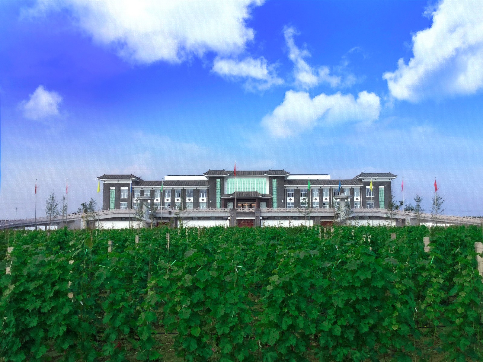 16286642507523.jpg 6.jpg