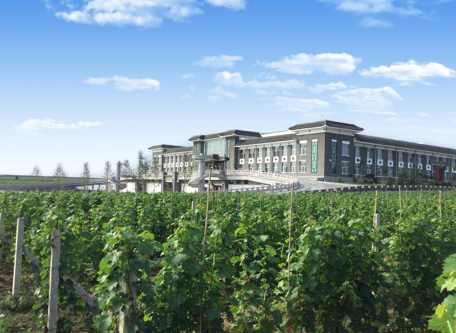 16315005477686.jpg 2.jpg