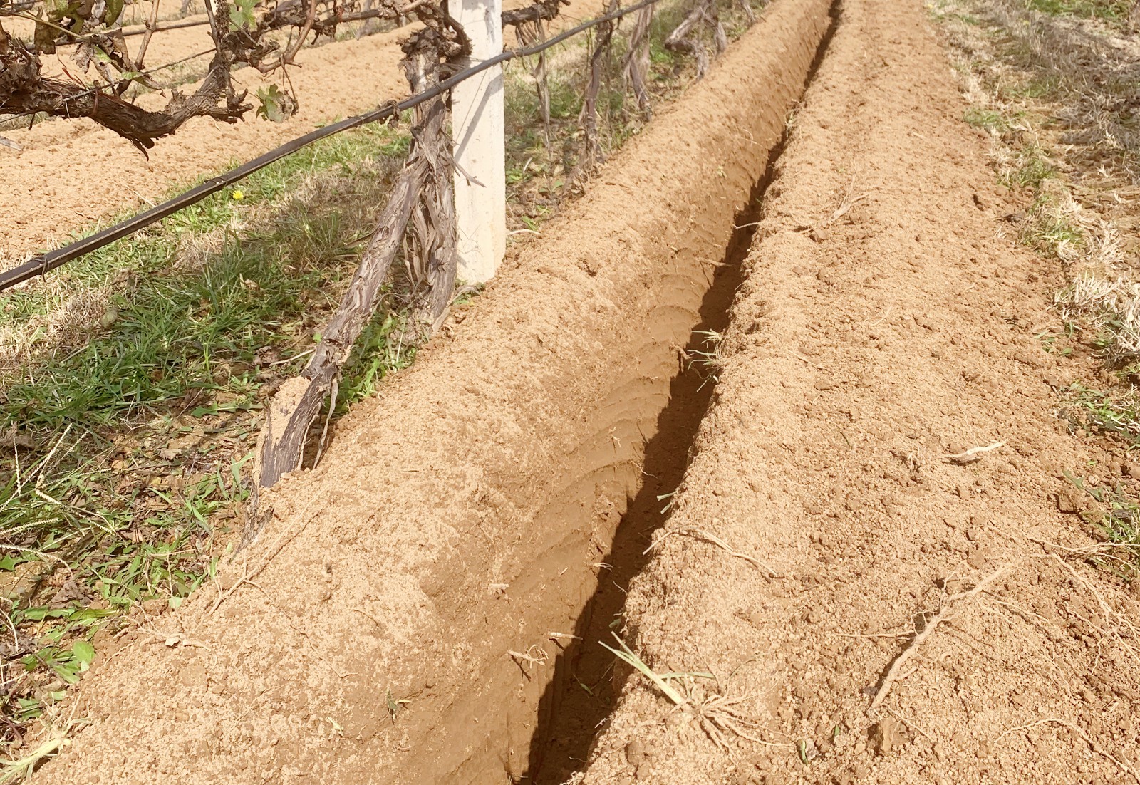 16349496628846.jpg 微信圖片_20211021160632_副本.jpg