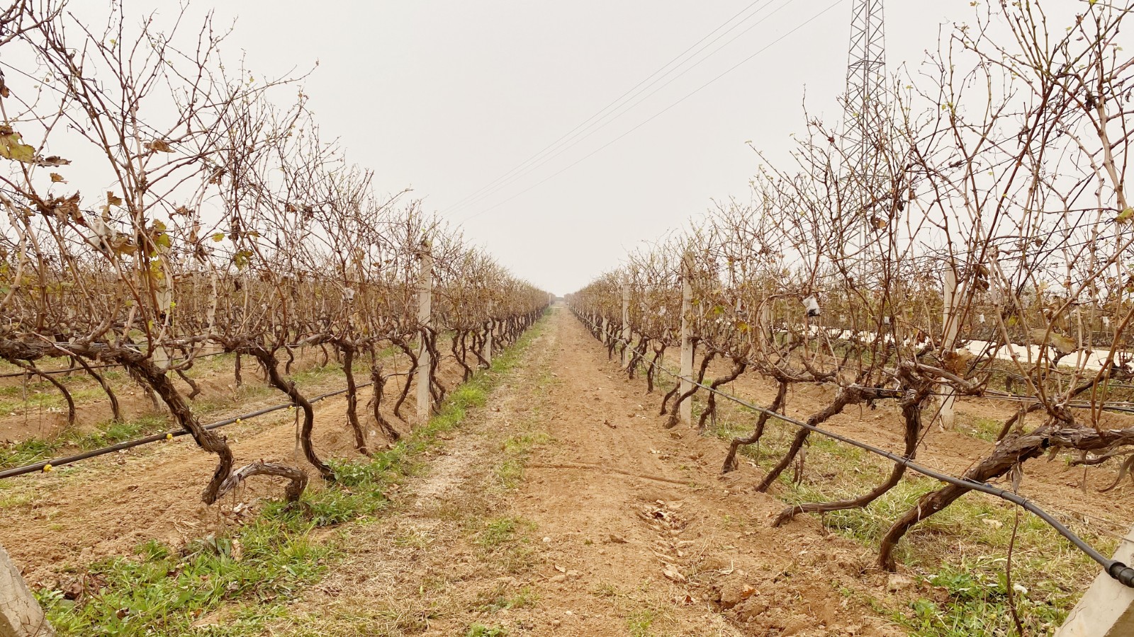 16375496654694.jpg 微信圖片_20211121145114.jpg