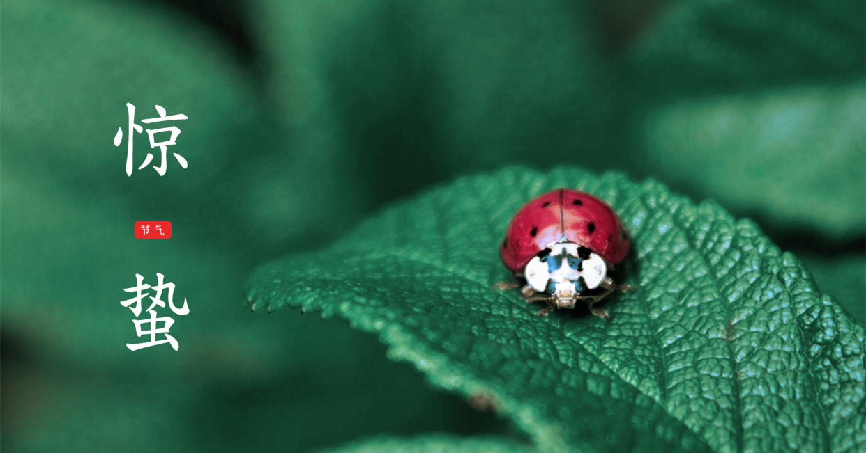驚蟄 ▎驚蟄始，萬物舒，與你聽風(fēng)望春來