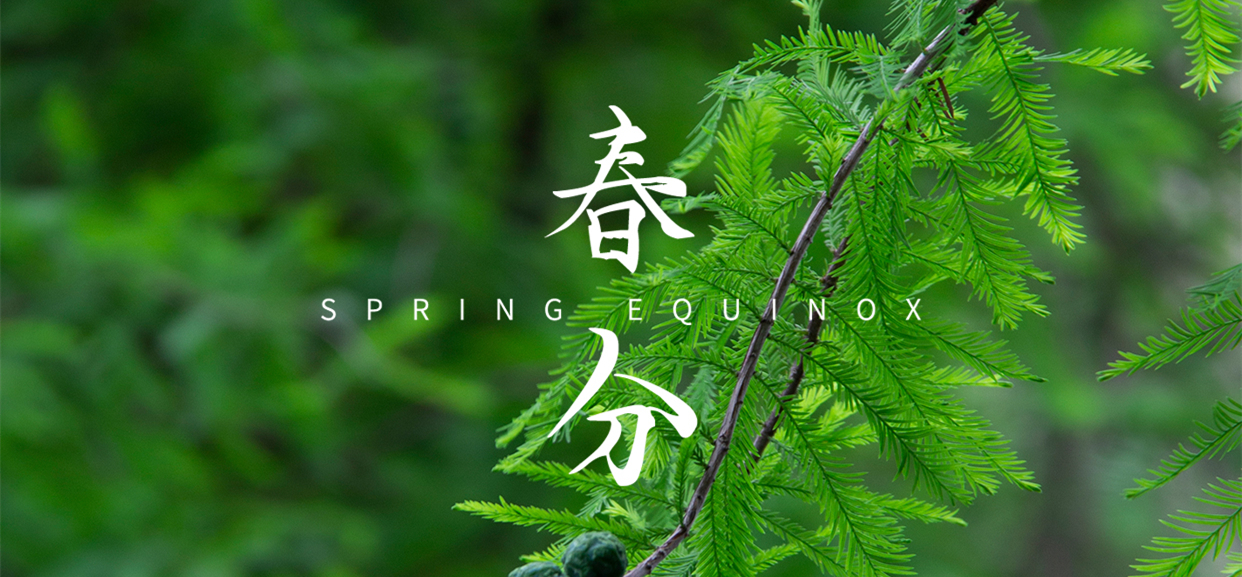 春分 ▎不負(fù)春光，萬物生長