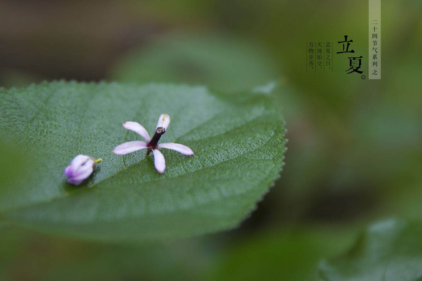 16518214655485.jpeg d38ebc6e82683957ea54a3a45f85eaaf.jpeg