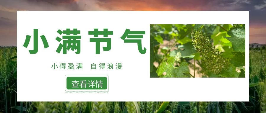 小滿 ▎小得盈滿，自得浪漫~