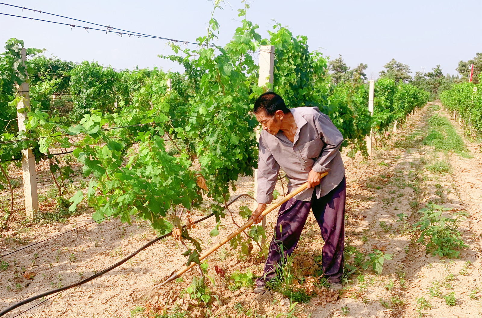 16571863005990.jpg dcc9b6dcf56df88d2b891bff4a3217f.jpg