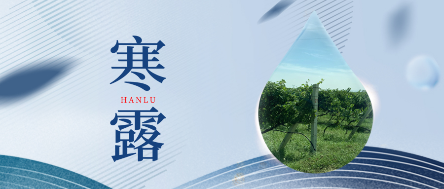 寒露丨夜露凝寒，萬物皆秋