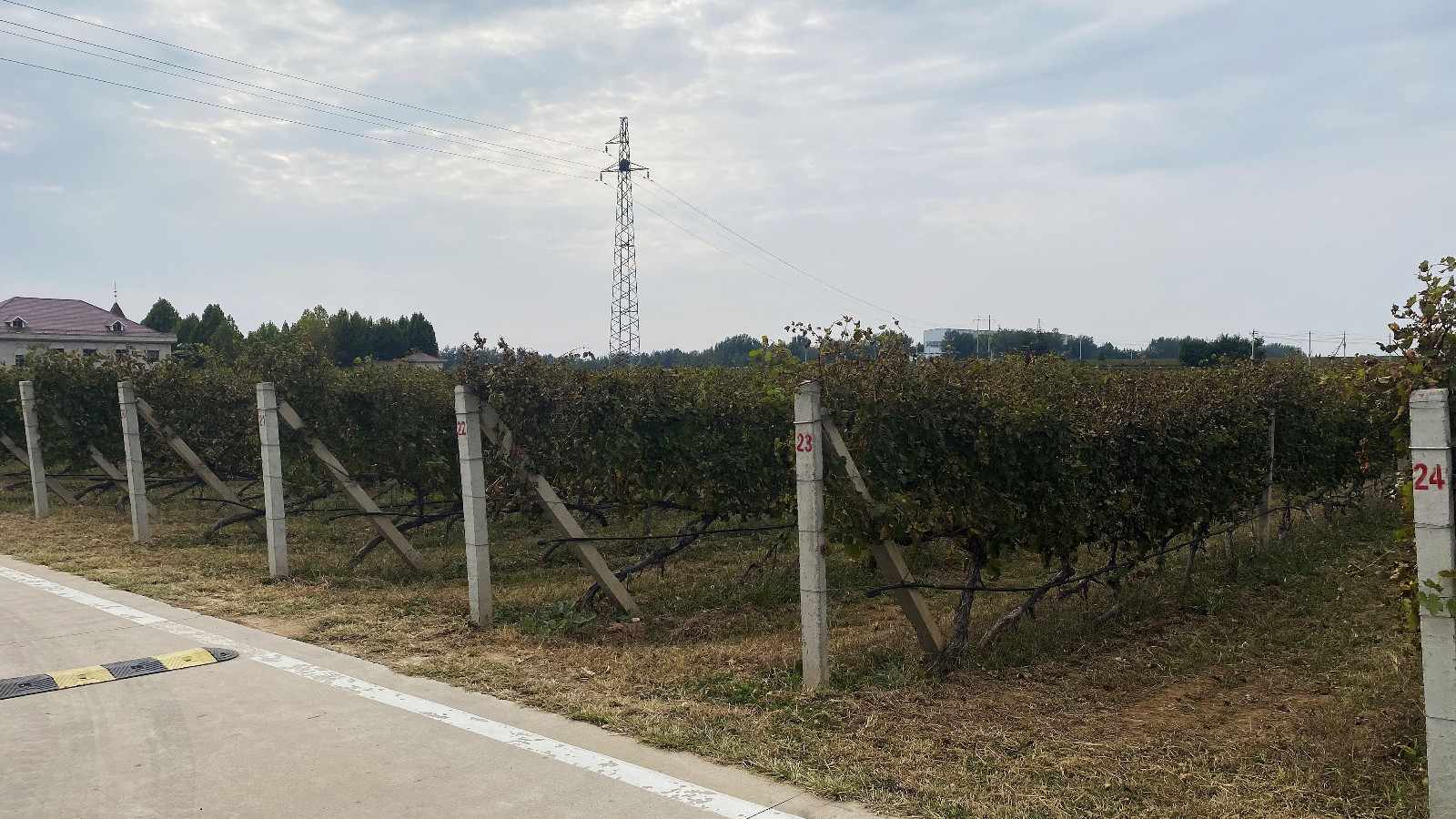 16682172717016.jpg 微信圖片_20221021182103.jpg