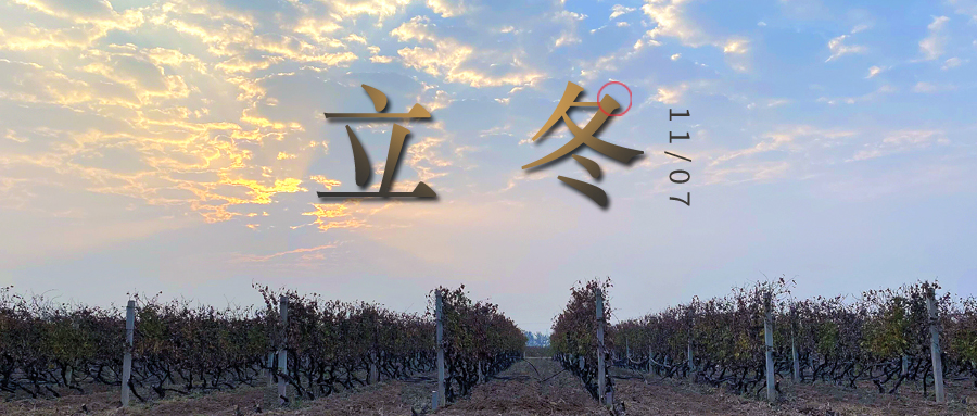 立冬 ▎四時有序，天地歸藏