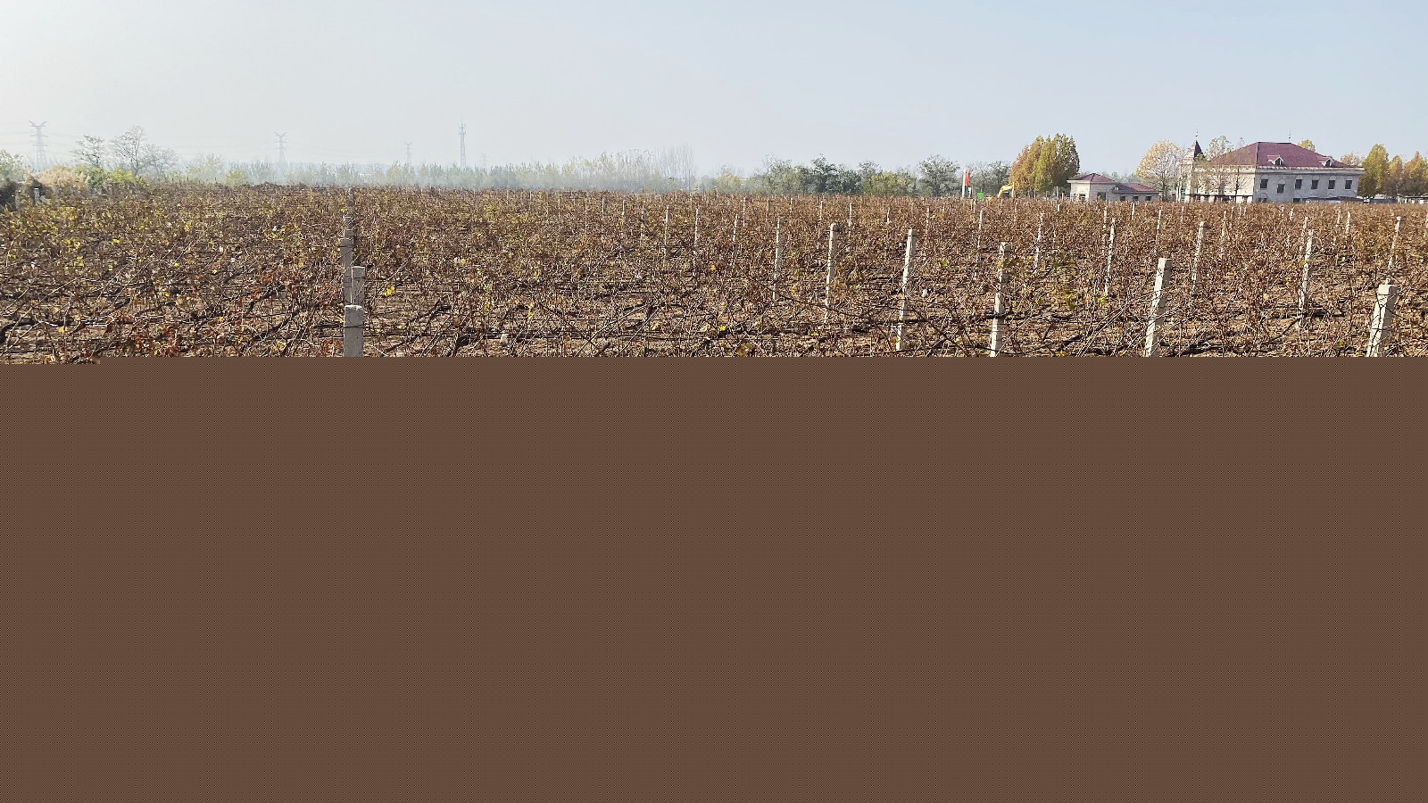 16690980255101.jpg b9327d2046eca8cbb47ff109d57cf34.jpg