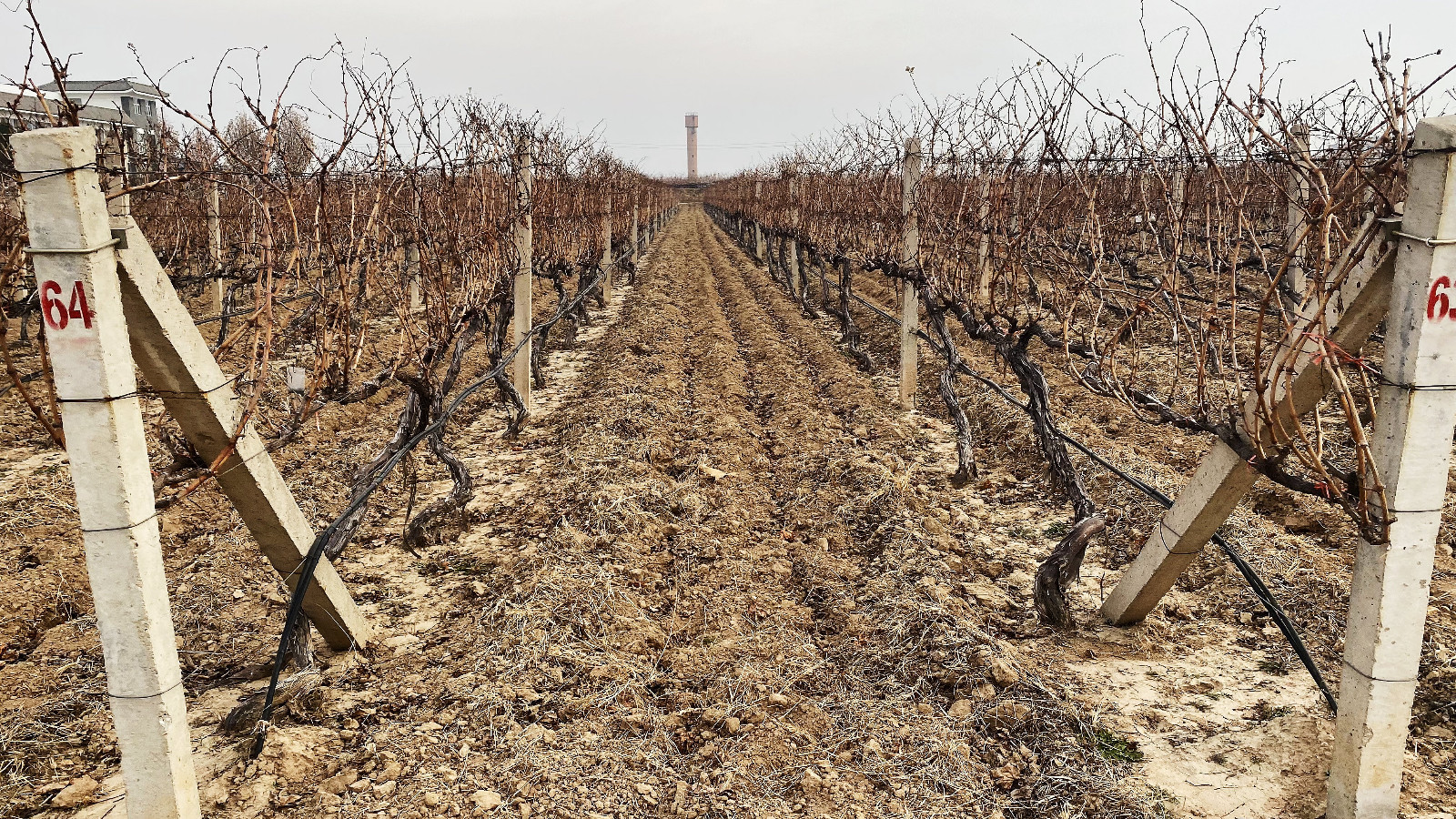 16706372179064.jpg ce7f24285c685c83e2da88960f2d794.jpg