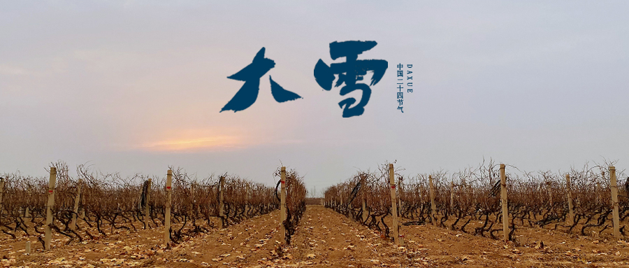 大雪 ▎世界留白，天地靜美