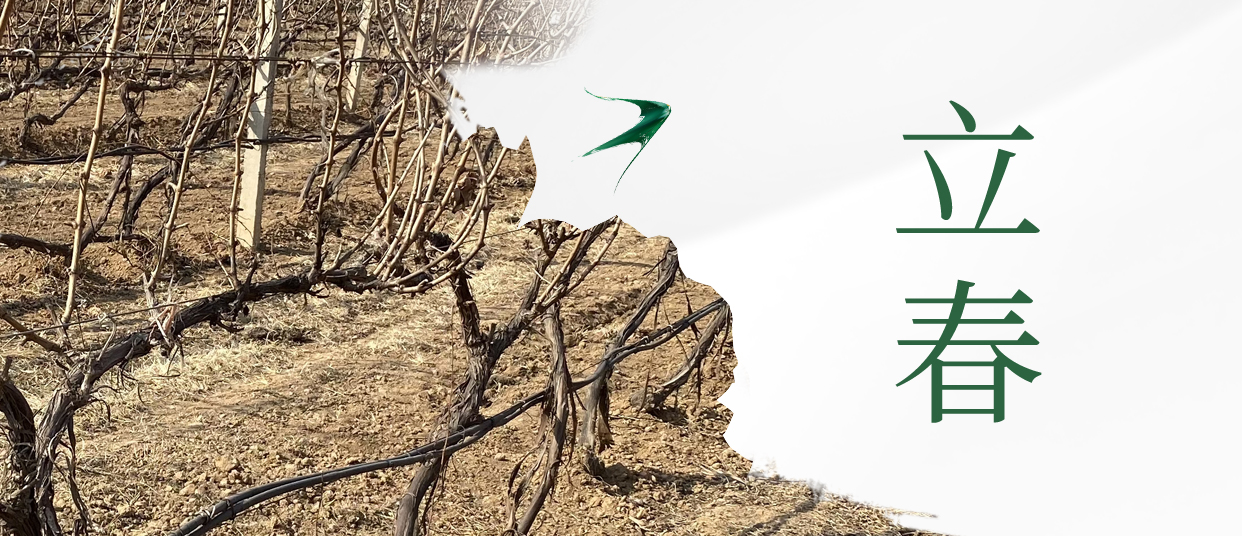 立春 ▎四序歲始，美好皆春