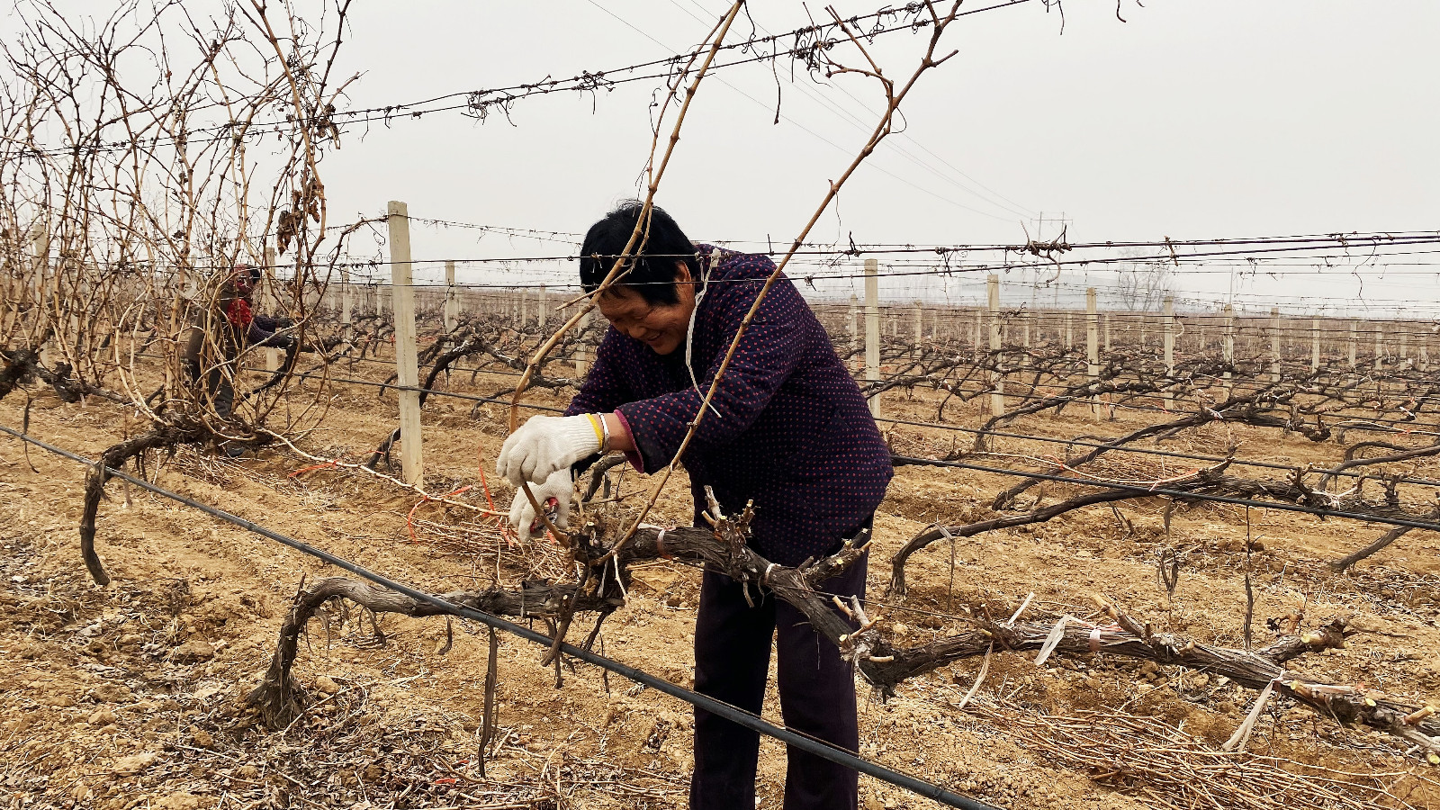 16767946924164.jpg 微信圖片_20230218094556.jpg