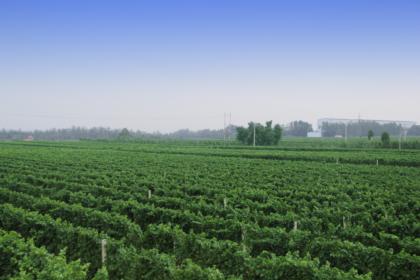 16773815071759.jpg 7.jpg