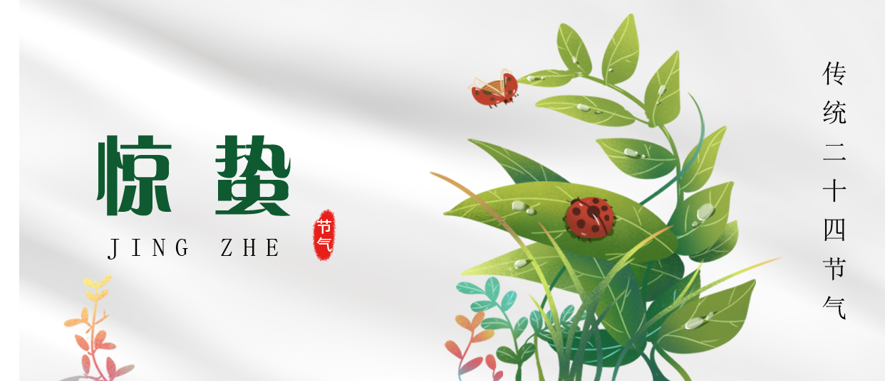 驚蟄 ▎雷鳴春醒，萬物生長