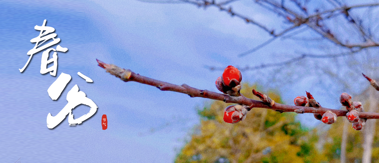 春分 ▎春光滿園，蓬勃生長