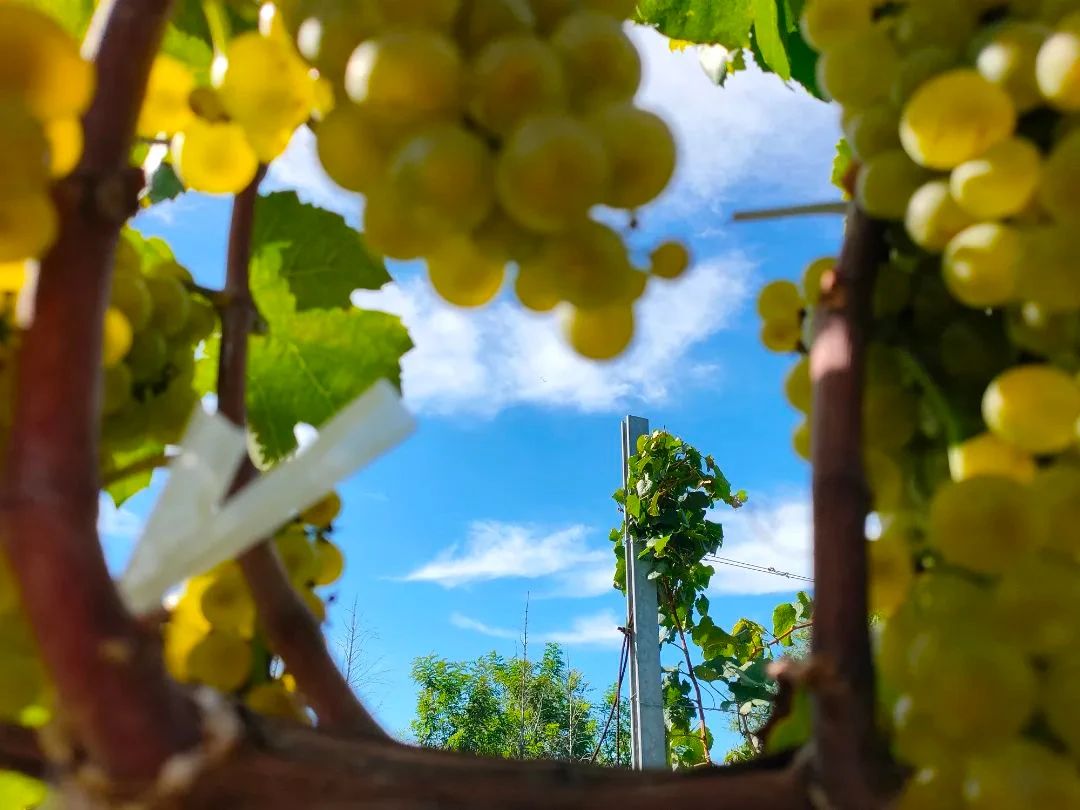 17113530022571.jpg 2332a3c2135116c0dc93d69ca312a824.jpg