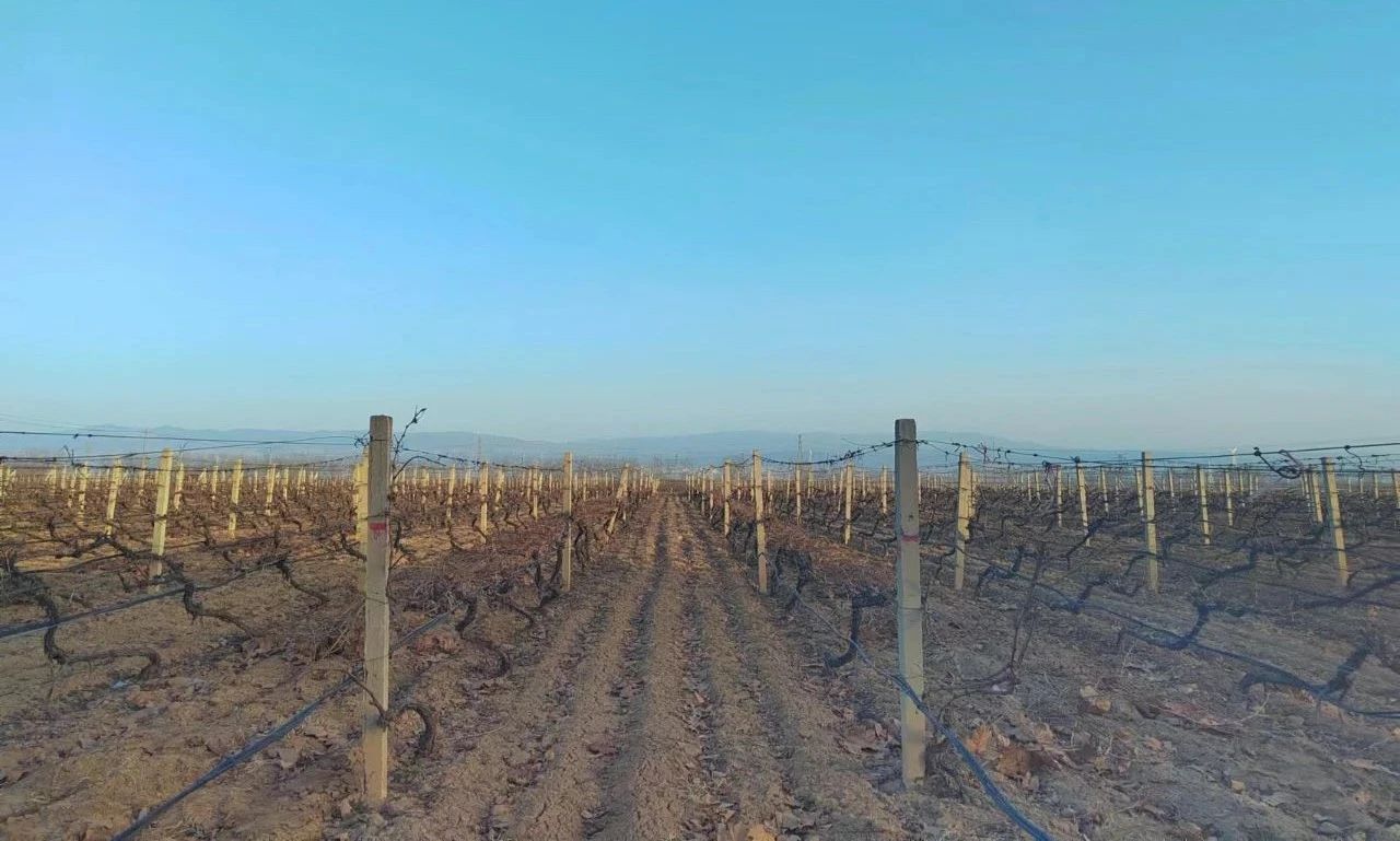 17114242019357.jpg 7d3d3fa3b279c6dbb8e0abb0f98de863.jpg