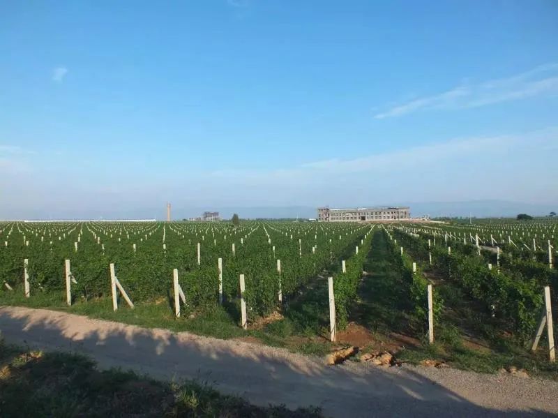 格瑞特莊園春季踏青游，一場微醺的春日盛宴等你來！